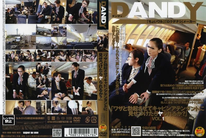 DANDY-079 「ワザと勃起させてキャビンアテンダントに見せつけたらヤられるか？」