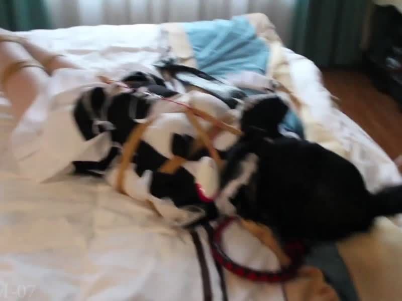  FXX-SM-07骑上你心爱的小木马_下